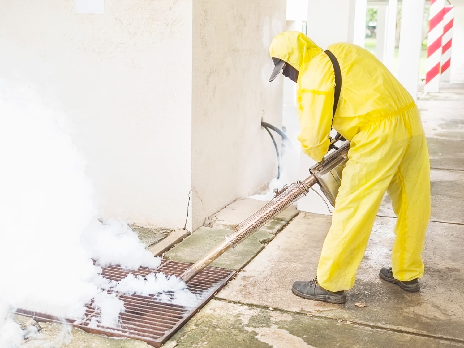 Termite control