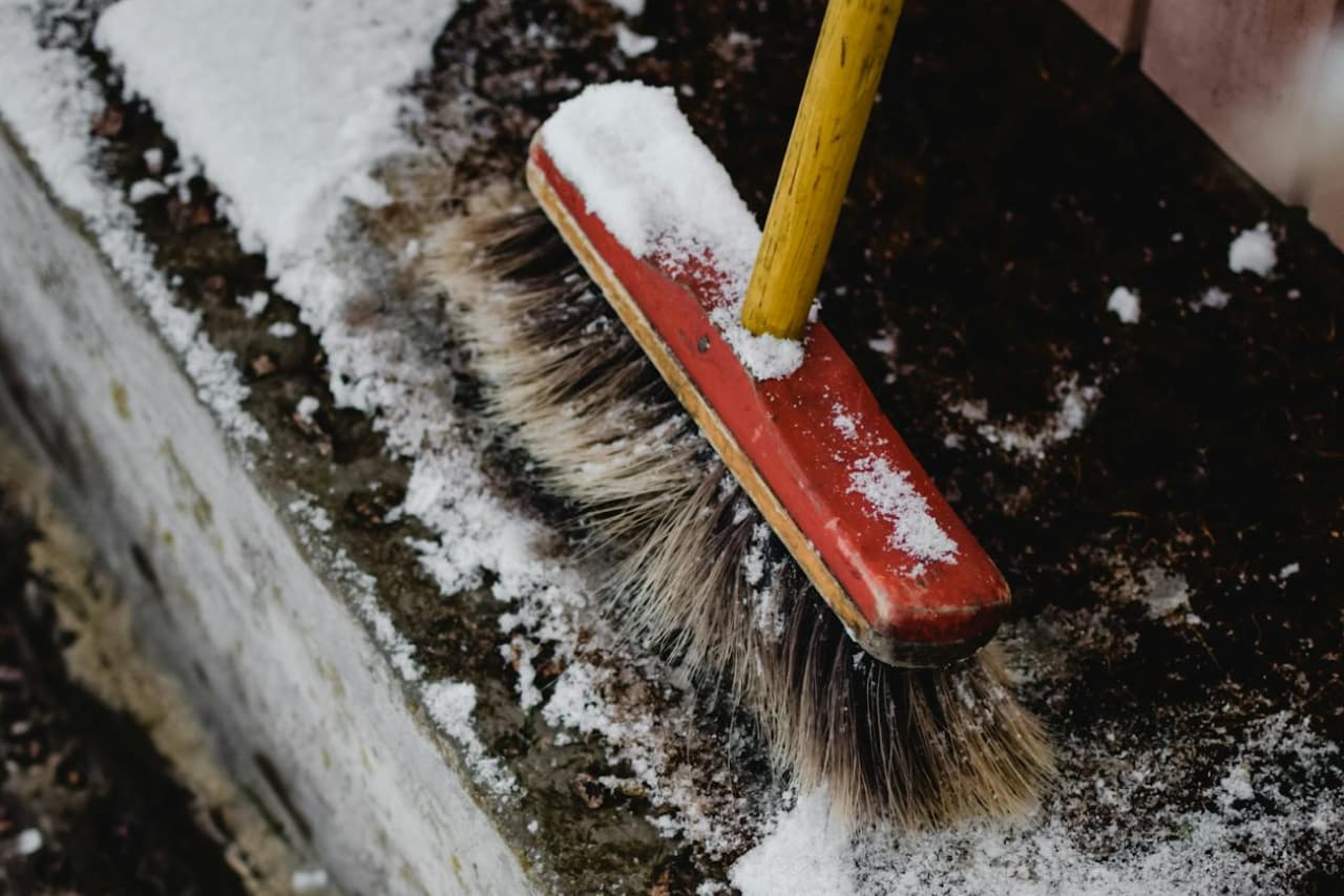 Exterior and landscape cleaning